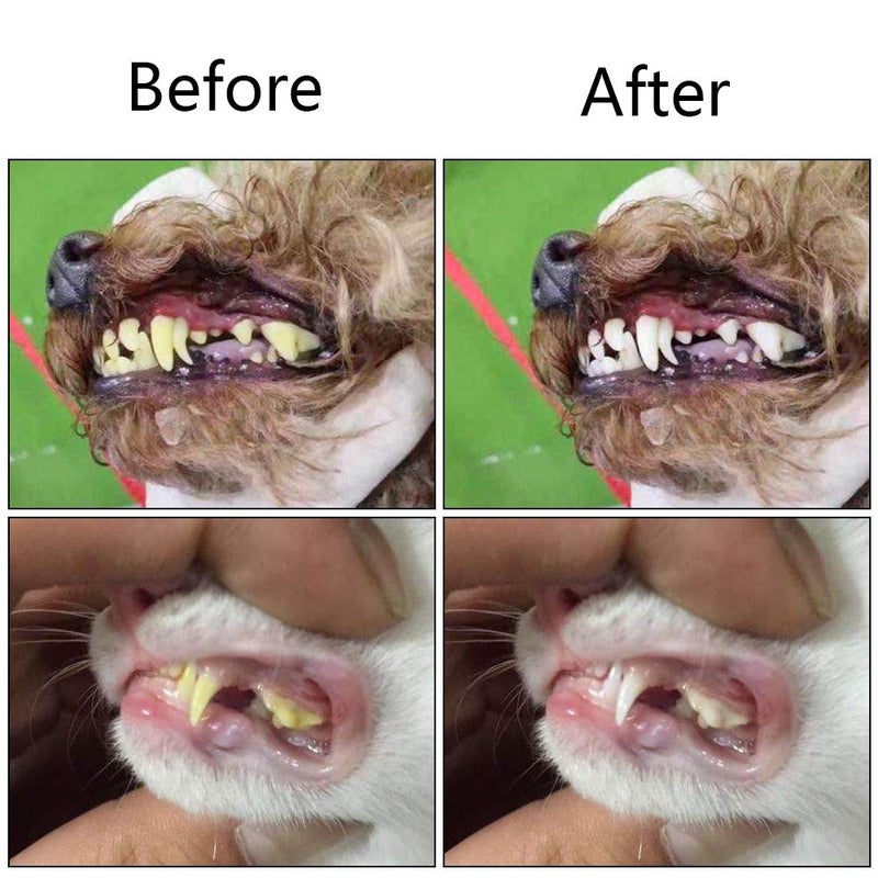 Orgrimmar 2 Pcs Three Sided Pet Toothbrush Dog Brush Addition Bad Breath Tartar Teeth Care Dog Cat Cleaning Mouth - Image 5